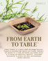 brheez Bamboo Bowls Made From Palm Leaf - 10 Party Bowls - 4 Inch Eco Friendly Compostable & Biodegradable-Disposable Bowls Heavy Duty and More En...