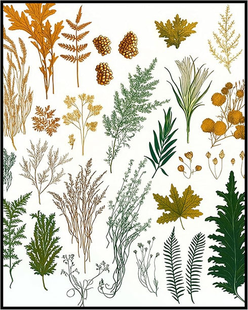 Posterizer 1 pcs-botanical illustration of a variaty of plants-educational art 1-Floral & Botanical Art Gift for Men Women Entrepreneur Teens Dec...