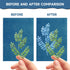 NOVWANG 80 Pcs Cyanotype Paper, High Sensitivity Sun Print Paper Cyanotype Kit with 2 Dedicated Clear Sleeves and 1 Pack Template, Sun Art Paper D...