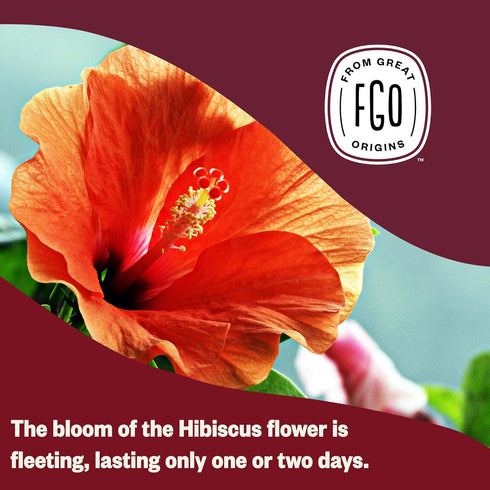 FGO Organic Hibiscus Tea, 100 Count, Eco-Conscious Tea Bags, Caffeine Free, Packaging May Vary (Pack of 1)...