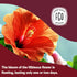 FGO Organic Hibiscus Tea, 100 Count, Eco-Conscious Tea Bags, Caffeine Free, Packaging May Vary (Pack of 1)...