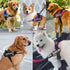 Dog Harness,No-Pull Service Dog Harness with Handle Adjustable Outdoor Pet Dog Vest 3M Reflective Nylon Material Vest for Breeds,Easy Control for ...