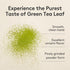 OSULLOC Matcha Powder (Unsweetened), Premium Organic (USDA) Pure Leaf Green Tea from Jeju, 1.41 oz, 40g...