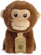 Aurora® Eco-Friendly Eco Nation™ Mini Monkey Stuffed Animal - Environmental Consciousness - Recycled Materials - Brown 5 Inches...