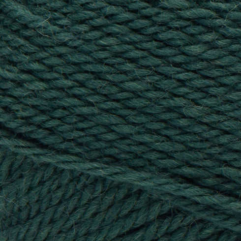Patons Classic Wool Yarn, Pine...