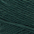 Patons Classic Wool Yarn, Pine...