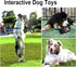 LapDog New Pirate Treasure Chest Interactive Dog Toys, Fun Puzzle Toys for Small, Medium, Large Dogs, Dog Chew Toys for Teething, Training, Dog En...