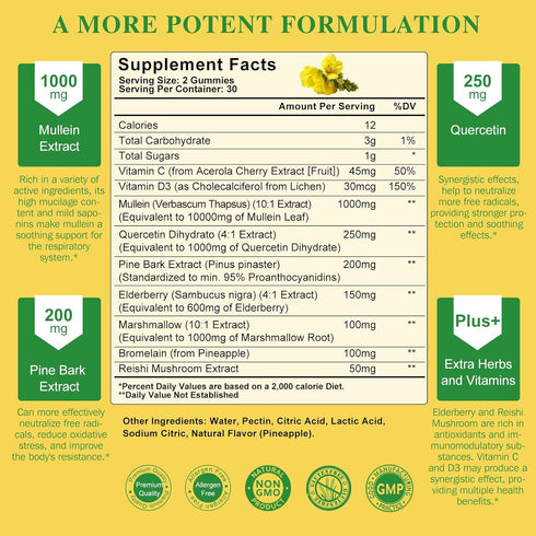 (2 Pack) 9 in 1 Mullein Gummies for Lung Cleanse, Extra Strength 10000MG(10:1 Extract) Mullein Leaf Extract w/Quercetin, Bromelain, Elderberry & M...