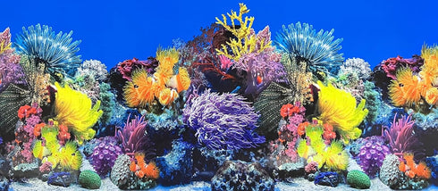 Fish Tank Background Sea Anemone Coral Theme Aquarium Background Poster Fish Backdrop for Aquarium Wallpaper Double-Sided Fish Tank Sticker Paper...