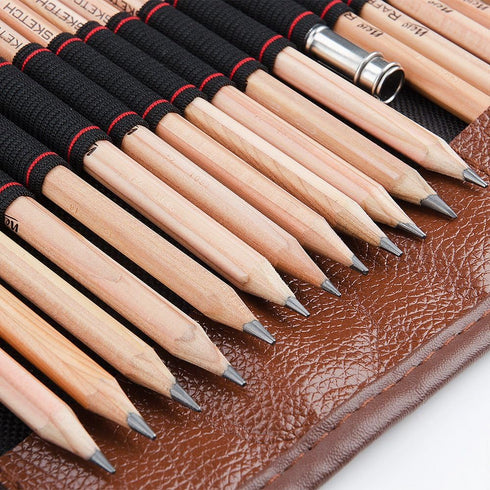 29 Pieces Professional Sketching & Drawing Art Tool Kit With Graphite Pencils, Charcoal Pencils, Paper Erasable Pen, Craft Knife-Lightwish (withou...