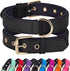 Didog Waterproof Dog Collar with Soft Padded, Strong Large Dog Collars with Metal Buckle, Lightweight and Breathable Dog Collars for Medium Dogs, ...