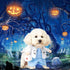 Dog Cat Doctor Costume, Funny Pet Doctor Halloween Costumes for Small Dogs Cats Puppy, Cosplay Party Dog Jeans Clothing Chrismas Clothes Cool Outf...