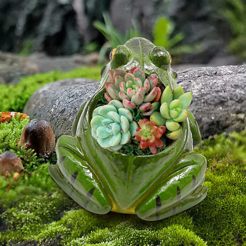 Set of 2 Frog Planter Resin Frog Flower Pot, Bonsai Pot/Flower Pot/Succulent Planter?Multipurpose Pot for Indoor Home Desk Decoration...