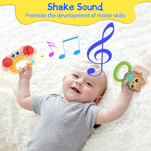 Baby Rattles Toys Ages 6+ Months - Baby Toys 5 Pcs Newborn Toys Baby Rattles with Storage Box Infant Toys for 6 Months + Sensory Boys Girls Shower...