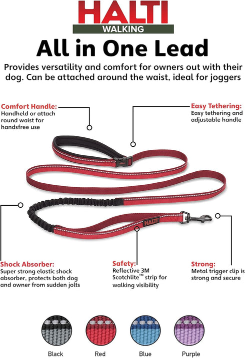 HALTI Active Leash - Award-Winning Bungee Dog Leash, Shock-Absorbing, All-in-One Neoprene Padded Belt & Lead, Perfect for Running & Training with ...