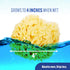 Baby Buddy Natural Wool Sea Sponge, Newborn Bath Time Essential, Ultra Soft for Delicate Skin, Hypoallergenic and Biodegradable, 2 Pack...