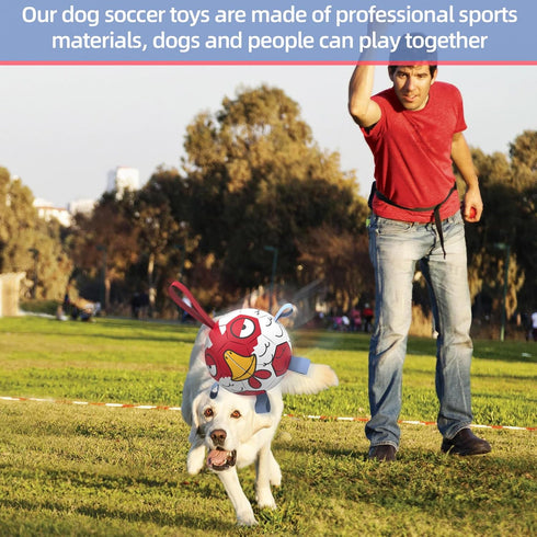 Dog Toys Soccer Ball with Straps, Outdoor Dog Toys, Puppy Birthday Gifts, Dog Water Toy, Durable Dog Balls for Small Medium Dog (6 Inch)...