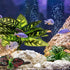 Reptile Artificial Plants, Terrarium Plants Decorations Supplies, Aquarium Fish Tank Plant, Amphibian Habitat Hideout Tank Accessories(L Set-3pcs/...