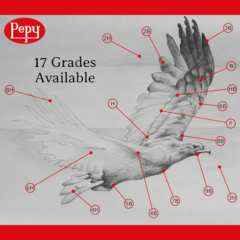 Pepy Graphite Professional Drawing Pencils - Set of 12 HB Pre-Sharpened Black Lead Pencils; Perfect for Drawing, Sketching and Shading, Graphic an...