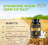 1000MG Spermidine Supplements Fermented Wheat Germ Extract Capsule with 10MG Higher Spermidine & Zinc for Antioxidant, Cell Renewal, Immune System...