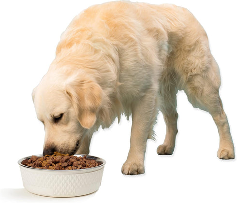 PetRageous 16011 Kona Stainless Steel Non-Slip Dishwasher Safe Dog Bowl 6.5-Cup 8.5-Inch Diameter 2.75-Inch Tall for Large and Extra Large Dogs an...