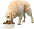 PetRageous 16011 Kona Stainless Steel Non-Slip Dishwasher Safe Dog Bowl 6.5-Cup 8.5-Inch Diameter 2.75-Inch Tall for Large and Extra Large Dogs an...