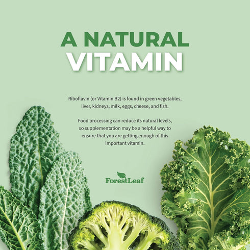 ForestLeaf Vitamin B2 Riboflavin 400mg - Energy, Skin & Cellular Health Supplement - Nervous System Support - Vitamin B 2 VIT B - Non-GMO & Gluten...