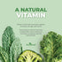 ForestLeaf Vitamin B2 Riboflavin 400mg - Energy, Skin & Cellular Health Supplement - Nervous System Support - Vitamin B 2 VIT B - Non-GMO & Gluten...