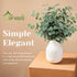 TOPHOUSE 6pcs Artificial Eucalyptus Leaves Stems Bulk 24.8” Silver Dollar Eucalyptus Artificial Greenery Silk Eucalyptus Plant for Home Wedding Fa...