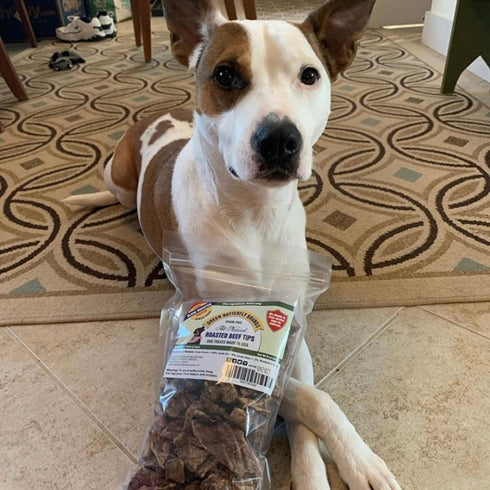 Beef Dog Treats – Made in USA Only – All Natural, Meaty Beef Tips – Premium Slow Roasted American Beef – Grass Fed, Farm Raised – Crunchy, Grain F...