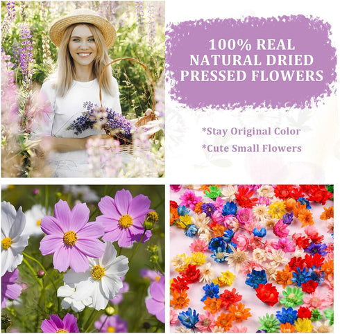 300+Pcs Small Dried Flowers for Crafts with Tweezer - Colorful Real Natural Mini Dried Flowers for Resin, Tiny Dried Pressed Flowers for DIY Jewel...