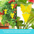 NiHome 48-Pack Yellow Sticky Traps with Twist Ties Indoor & Outdoor Plant Bug Fly Glue Catcher Nontoxic Odorless for Home Garden (Flower)...