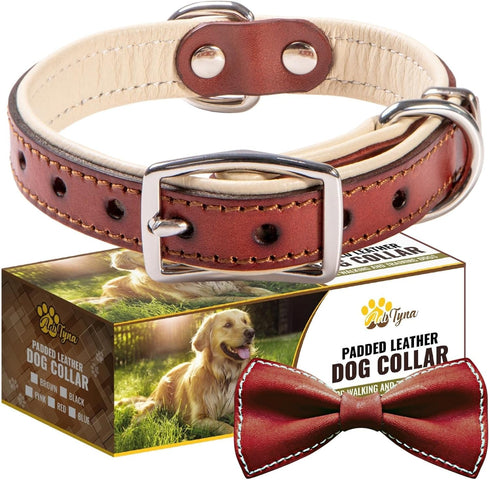 ADITYNA - Heavy-Duty Premium Leather Dog Collar for Small Dogs - Padded with Soft Genuine Leather for a Cozy Feel...