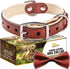 ADITYNA - Heavy-Duty Premium Leather Dog Collar for Small Dogs - Padded with Soft Genuine Leather for a Cozy Feel...