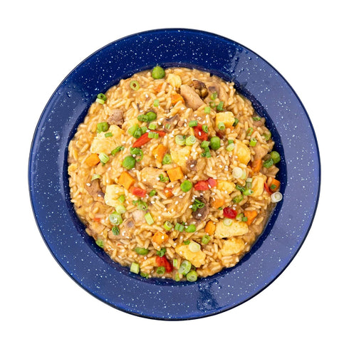 Mountain House Chicken Fried Rice | Freeze Dried Backpacking & Camping Food | 2 Servings | Gluten-Free...