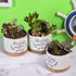 Teacher Appreciation Gift, Thank You for Helping Me Grow Ceramic Succulent Plant Pot Planter for Indoor Outdoor Use, Best Teacher Birthday Retirem...