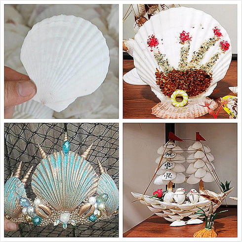 16PCS Sea Shells for Crafts 2.7"~3.5" White Scallop Shells, for Baking Shells Crafts DIY Painting Beaching Wedding Decoration Beach Natural Scallo...