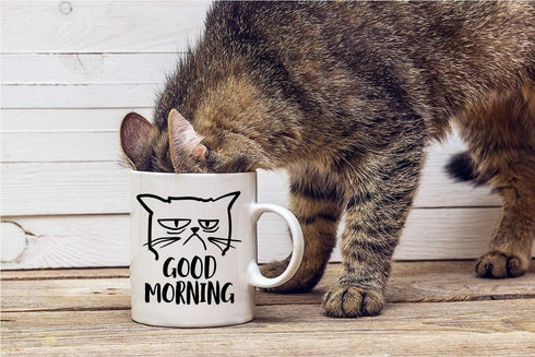 CBTwear Good Morning Funny Grumpy Cat 11oz White Ceramic Coffee Mug - Cute Unique Cat Mom Gifts for Birthdays, Anniversaries, or Any Occasion...