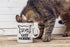 CBTwear Good Morning Funny Grumpy Cat 11oz White Ceramic Coffee Mug - Cute Unique Cat Mom Gifts for Birthdays, Anniversaries, or Any Occasion...