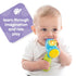 Playgro Fun Hammer Toys for Toddlers 1-3 - Engaging Auditory Developmental Toy for kids - Unleash The Joy with This Vibrant Kids' Hammer Toy - A W...