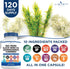 Sea Moss 3000mg Black Seed Oil 2000mg Ashwagandha1000mg Burdock 1000mg Root Mineral Support (120)...