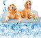 SOMOYA Dogs Self Cooling Mat Pet Cool Pads Blanket Hot Weather Sleeping Kennel Mat,Washable Ice Silk Sleep Mat Pad Non-Toxic Breathable for Large ...