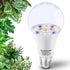 Grow Light Bulbs for Indoor Plants Full Spectrum E26 A19 10W,Grow LED Light Bulb with Balanced Spectrum 5000K-Blue-Red for Seeds Greens Laboratory...