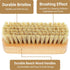 SEPGLITTER Vegetable Brush,Veggie Wash Brushes Potato Brush Cleaning Brush for Potato Carrot Cucumber and Fruits Vegetable Brush Scrubber for Food...