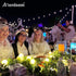 Anordsem Battery String Light for Indoor: 6.88Ft/10 LED Cotton Ball Lanterns 2 Pack - Bohemian Hanging Art Deco for Bedroom - Fairy Cozy Lighting ...
