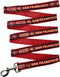 NFL PET Leash San Francisco 49ers Dog Leash, Small Football Team Leash for Dogs & Cats. A Shiny & Colorful Cat Leash & Dog Leash Licensed by The N...