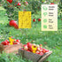 36 Pcs Combo Sticky Traps for Fungus Gnat (Plants), Flying Insect, Whitefly and Fly, Yellow Sticky Insect Catcher Traps for Indoor/Outdoor, Kitche...