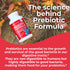 Health Plus Prebiotic Formula - Probiotics + Prebiotics + Digestive Enzymes - Gluten Free, Dairy Free, Natural Herbal Ingredients (180 Capsules, 6...