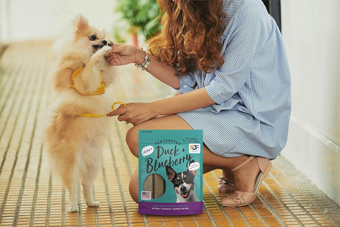 Premium Duck and Blueberry 12 oz. Dog Jerky Treats | 100% Human Grade | USA Made | High Protein | Grain Free | Limited Ingredients | No Filler | B...