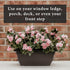 Rectangle Planter Box, 16 Inch Indoor/Outdoor Rectangular Planter, Durable UV Resistant, 2 Gallon Plastic Window Box Trough, Use for Herbs, Succul...